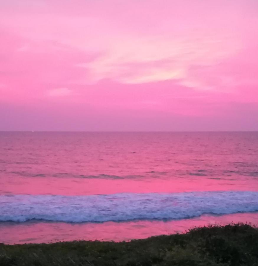 Sukriti Beach Resort فاركَالا المظهر الخارجي الصورة