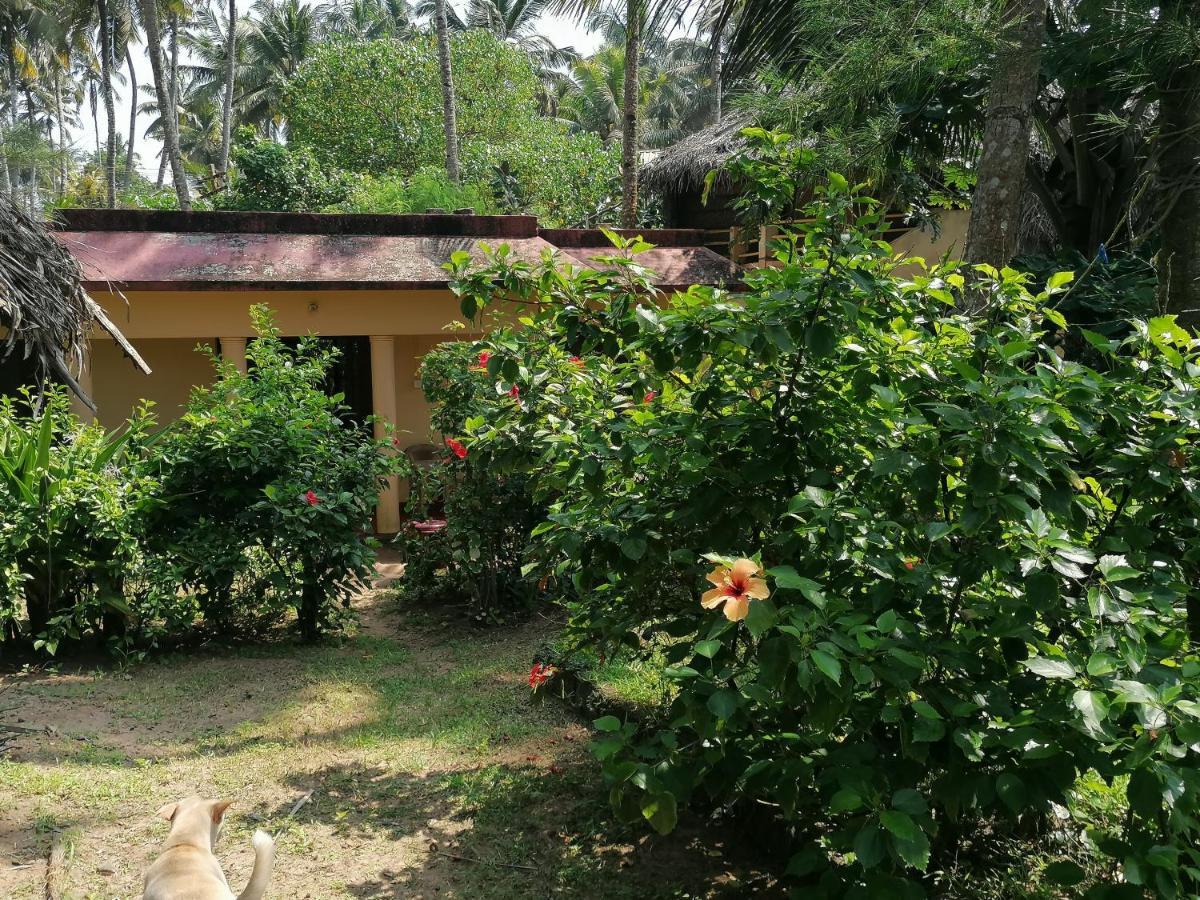 Sukriti Beach Resort فاركَالا المظهر الخارجي الصورة