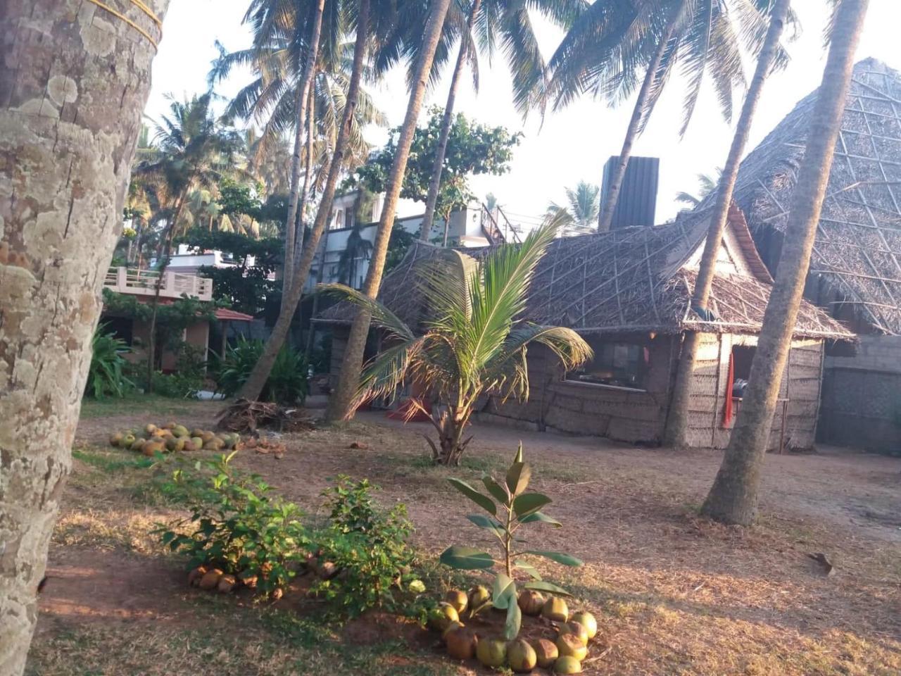 Sukriti Beach Resort فاركَالا المظهر الخارجي الصورة